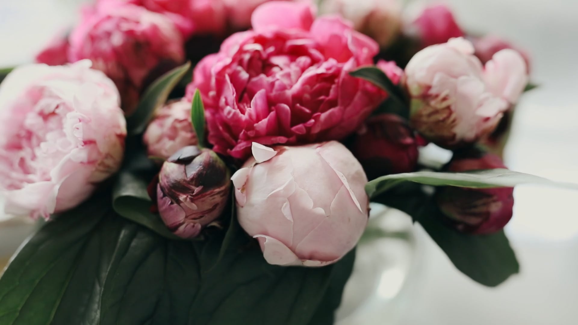 Santana Weddings venue film — opening frame
